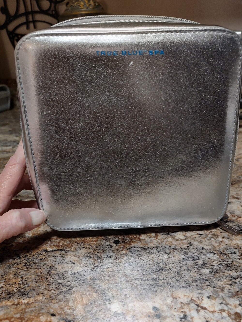 Metallic Silver Cosmetic Case